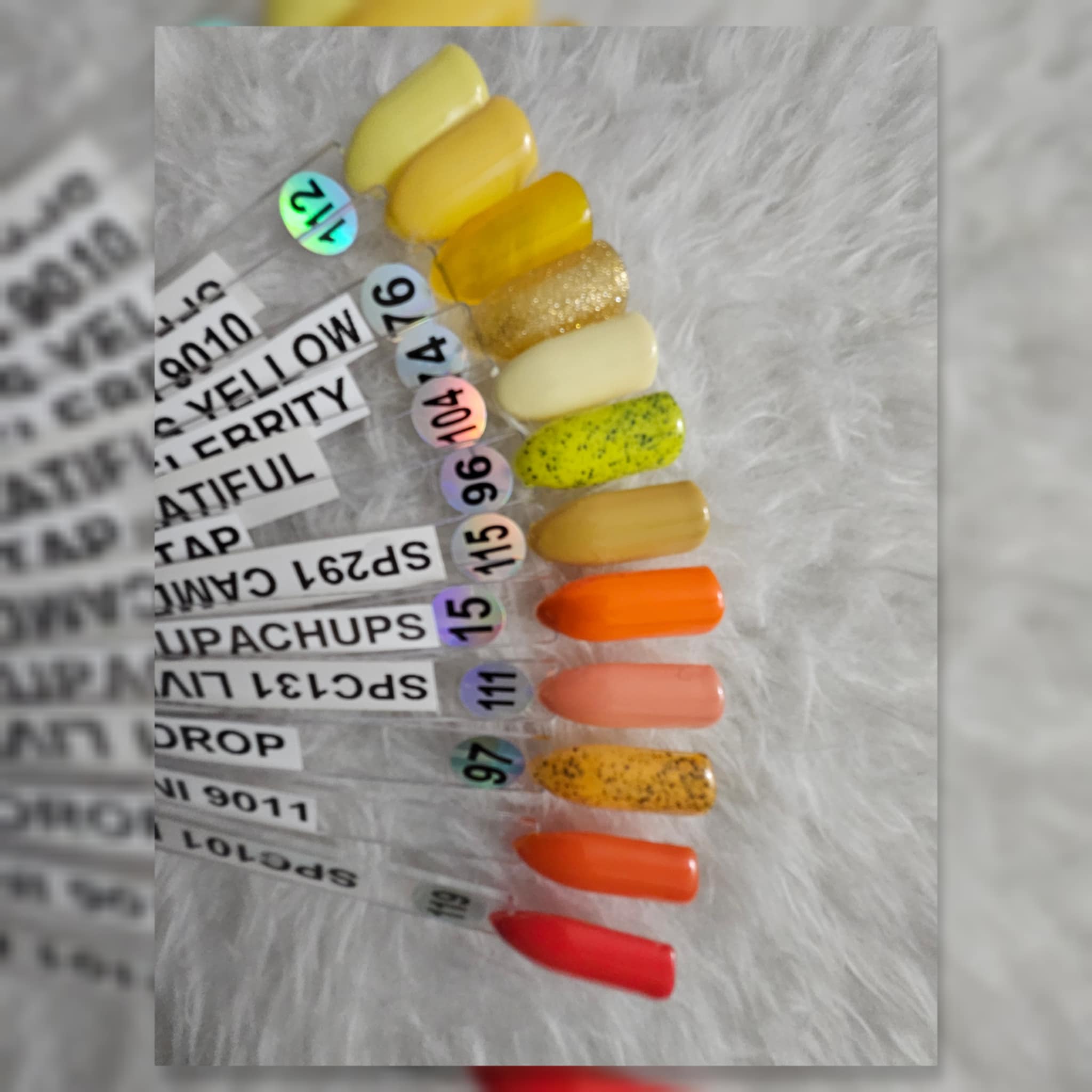 photo type d'onlges et couleurs
