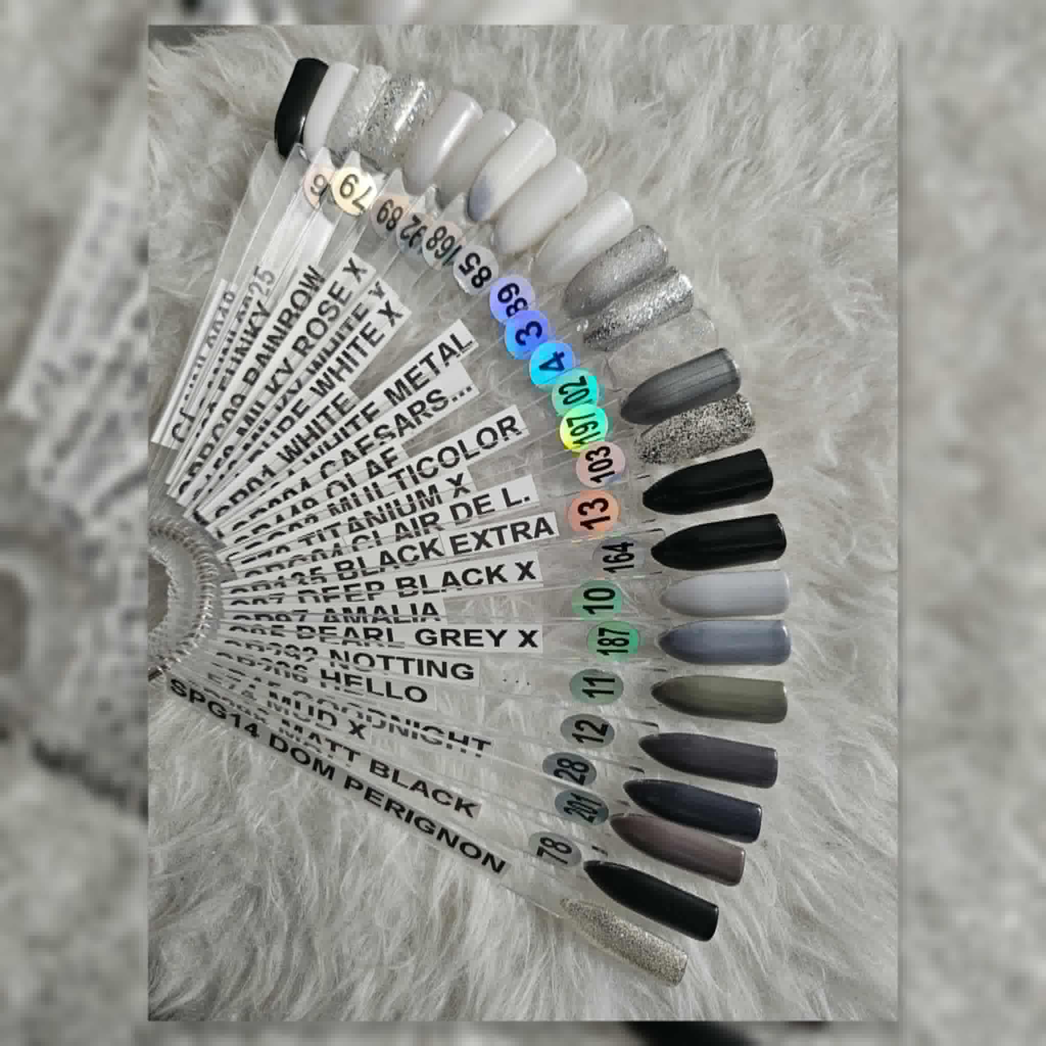photo type d'onlges et couleurs 