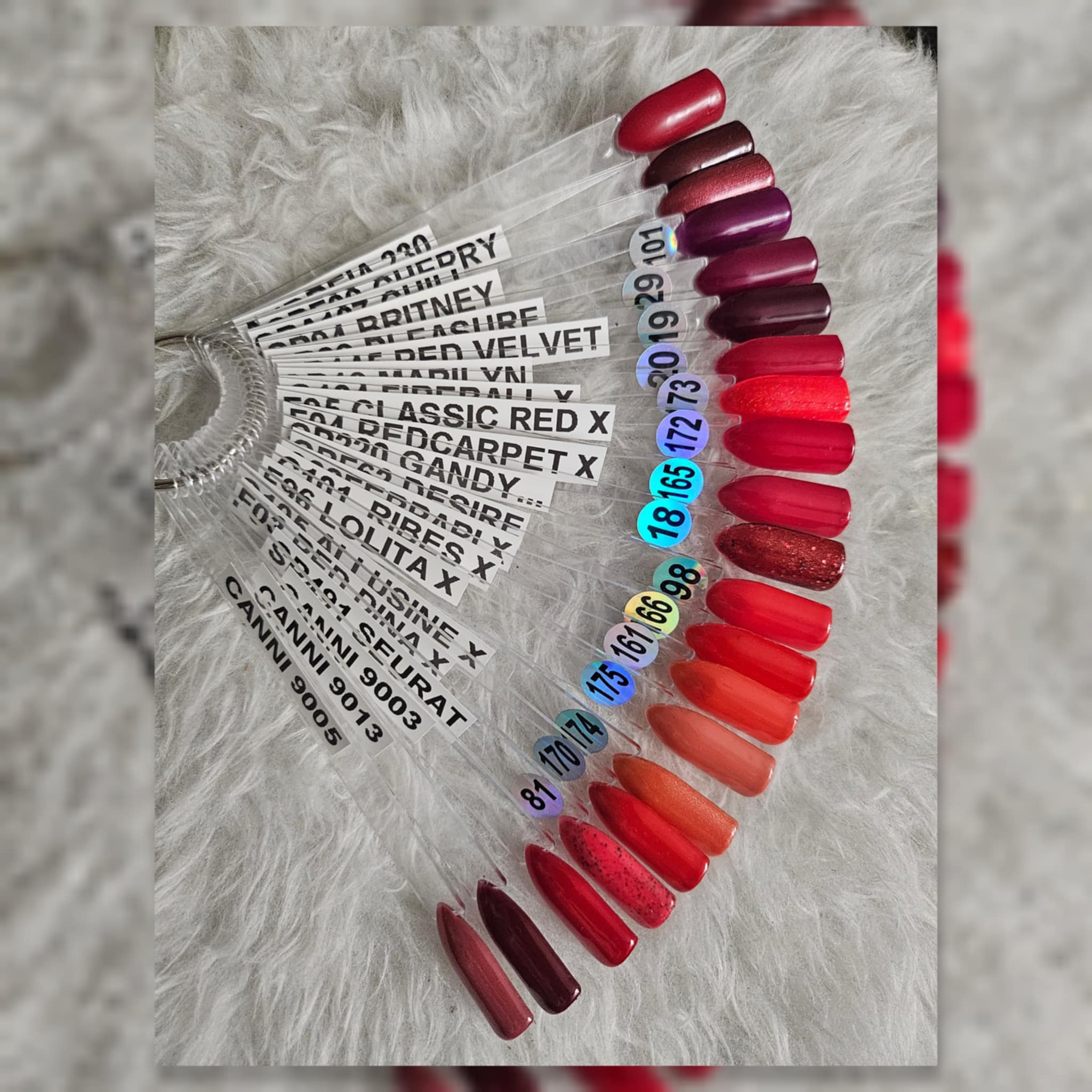 photo type d'onlges et couleurs 