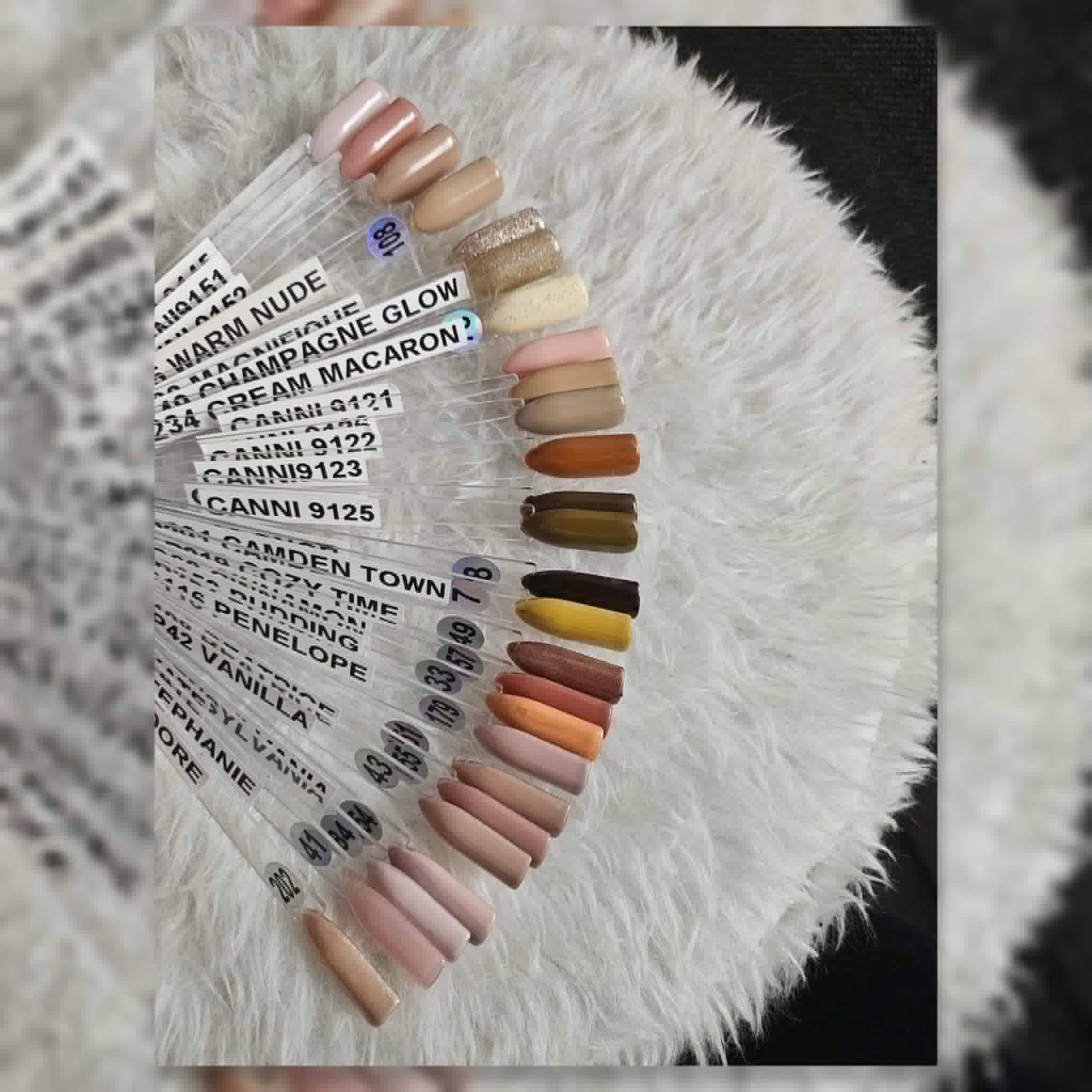 photo type d'onlges et couleurs