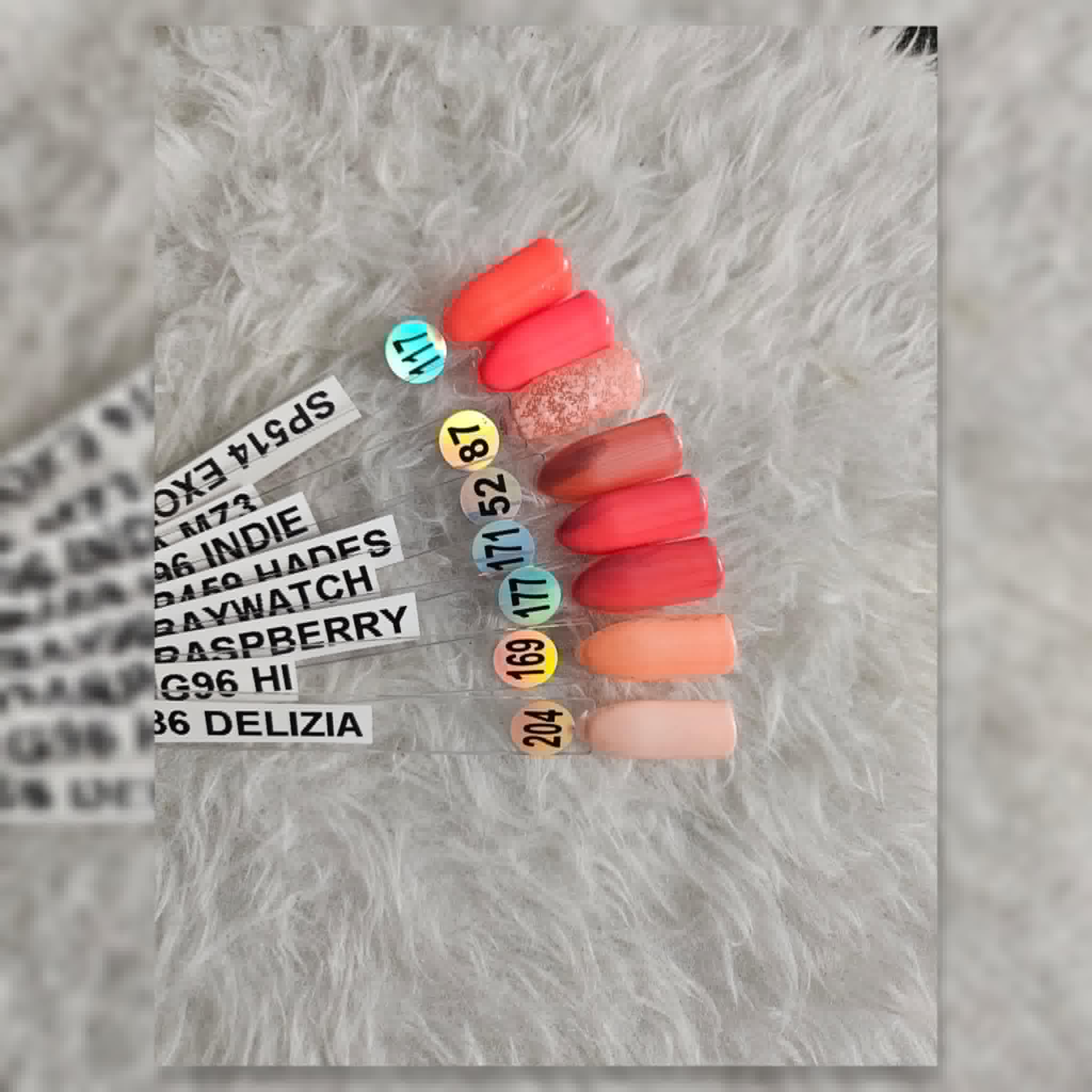 photo type d'onlges et couleurs 